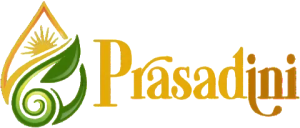logo.webp.bv resized mobile.webp.bv photoroom