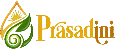 logo.webp.bv resized mobile.webp.bv photoroom