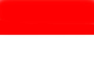 indonesia flag red and white color created by computer graphic.